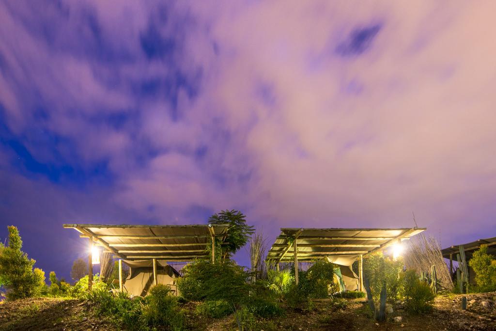 מלון ווינדהוק Urban Camp חדר תמונה